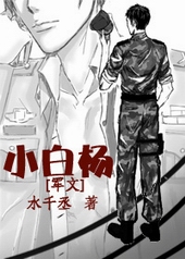 军文小说推荐甜宠文短篇